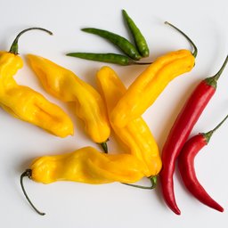 Chilli