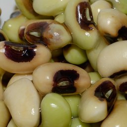 Cowpea