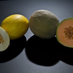 Melon