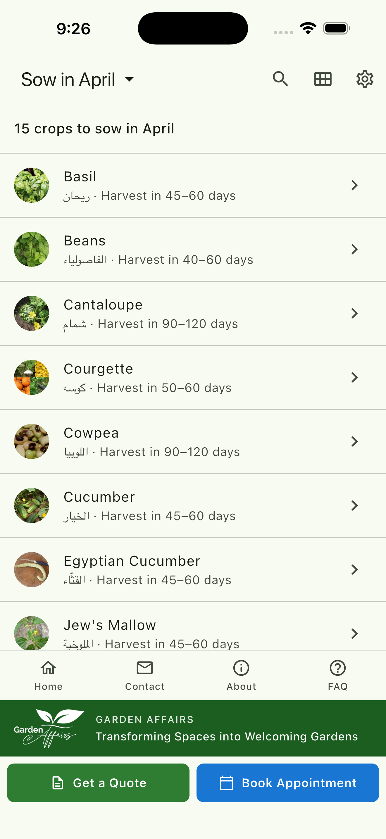 GulfGrow — English 'This month' screen