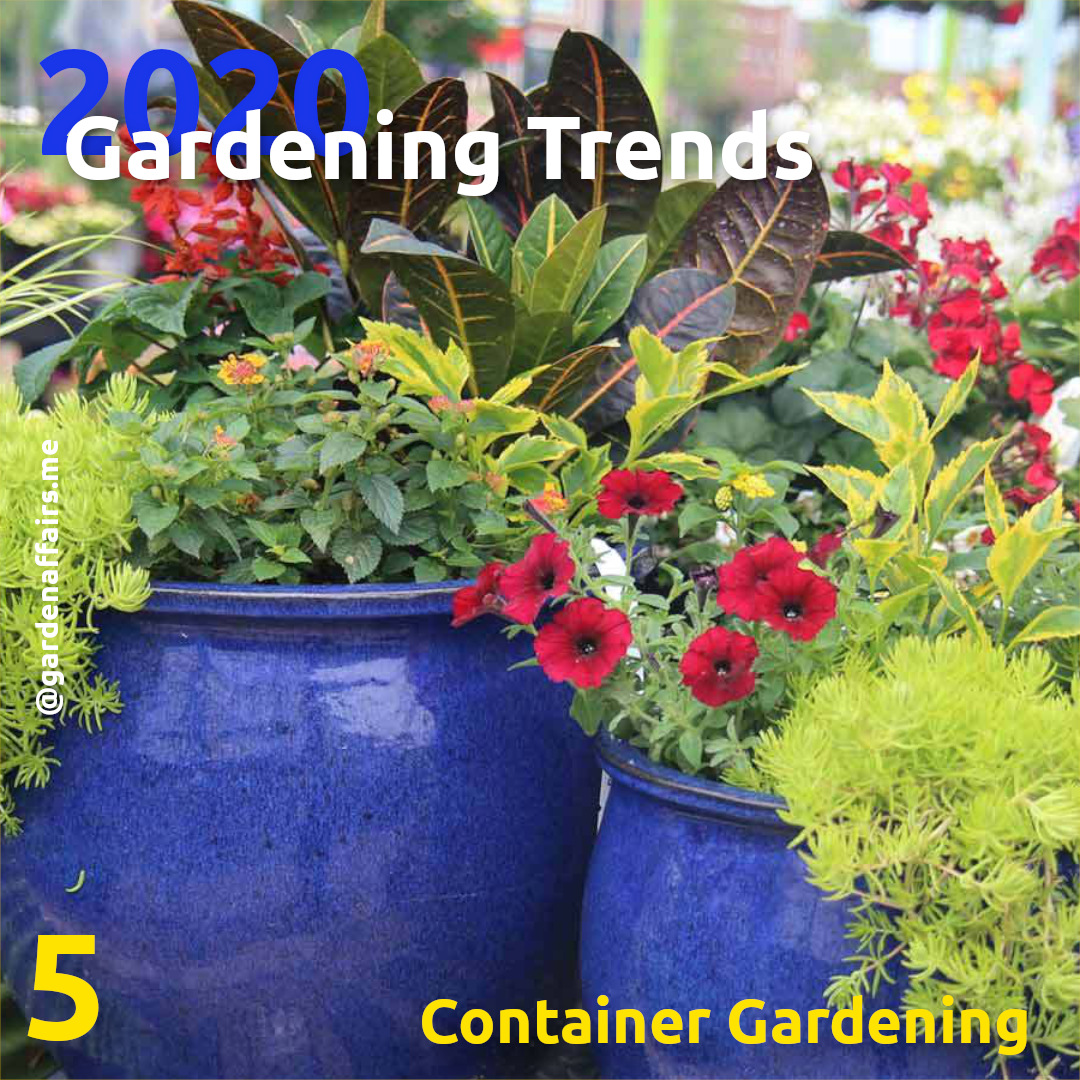 5 Landscaping Trends | 5: Container Gardening